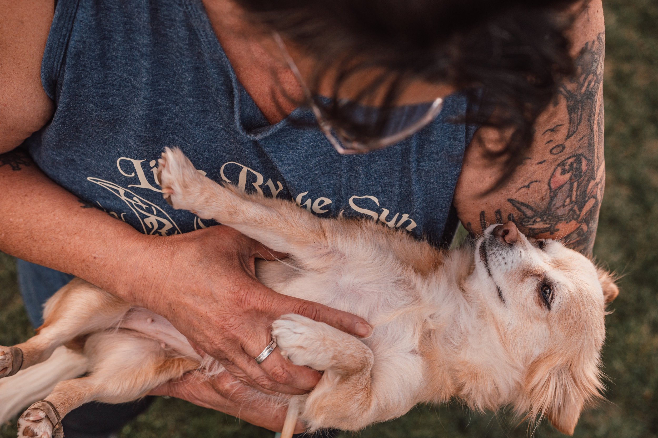 Silver Linings Rescue Ranch