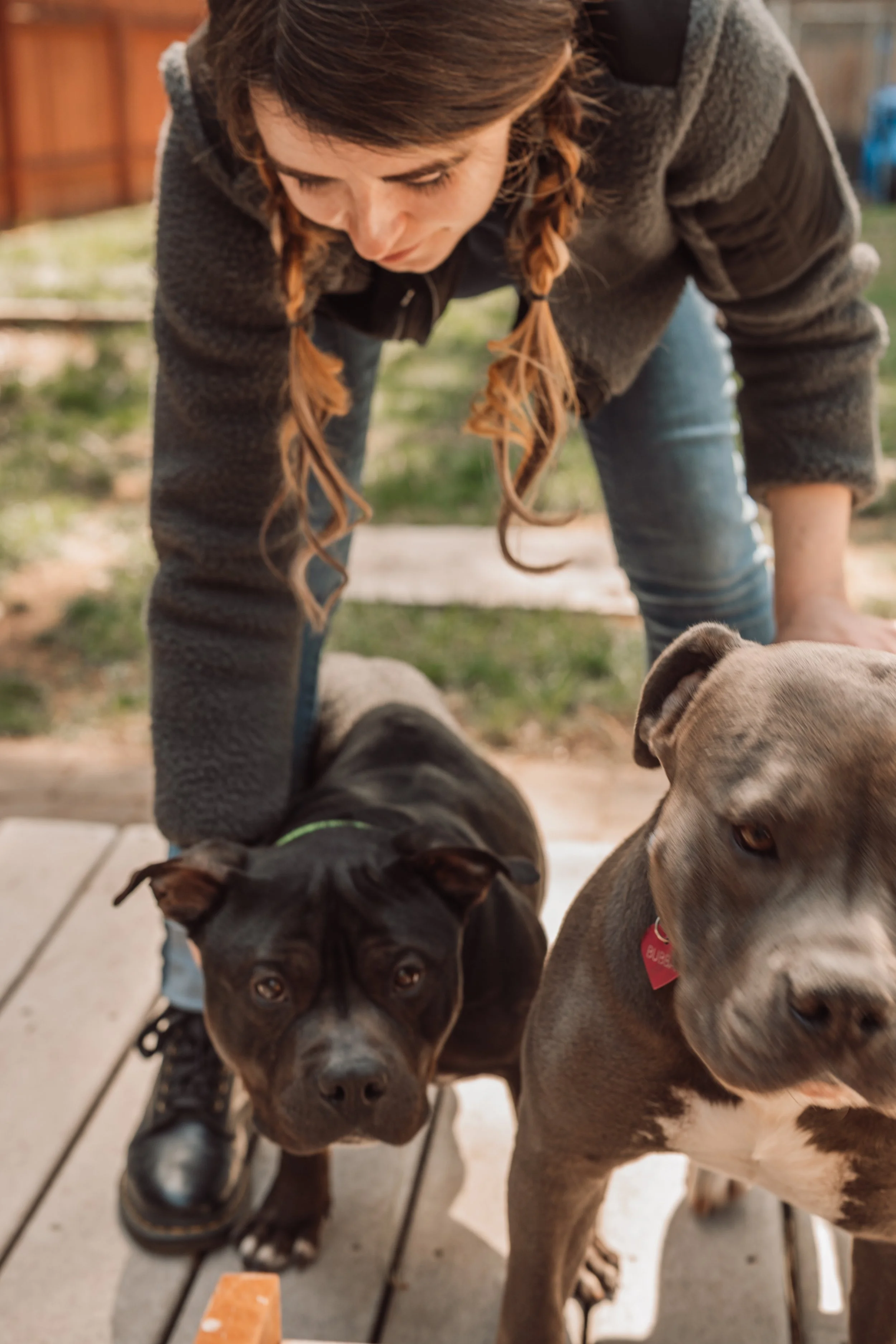 Silver Linings Rescue Ranch-017.jpg