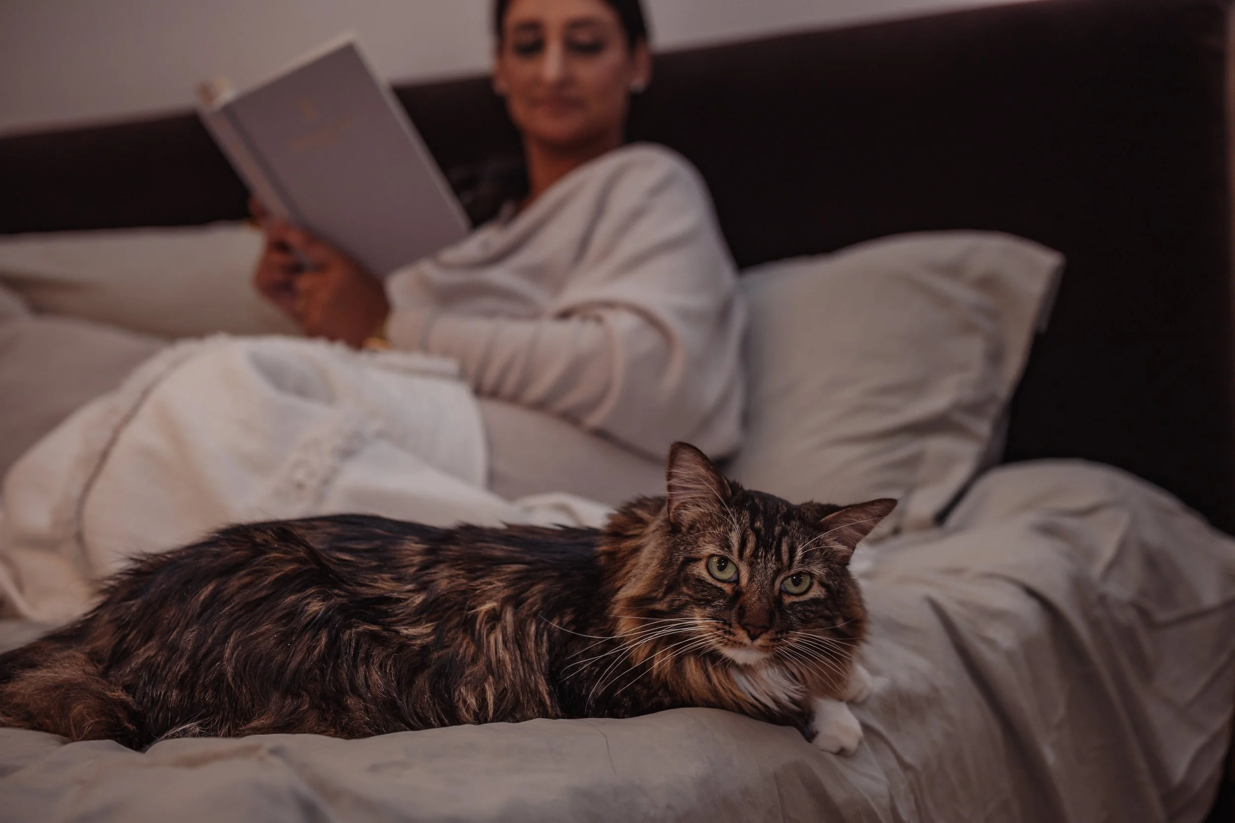 Clarity Print Co. 3-109.jpg