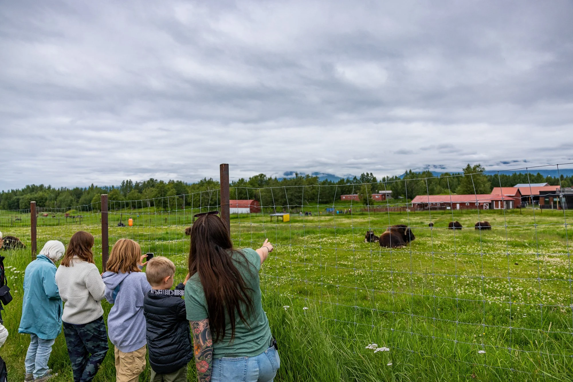 US_AK_Anchorage_Musk Ox Farm-37.jpg