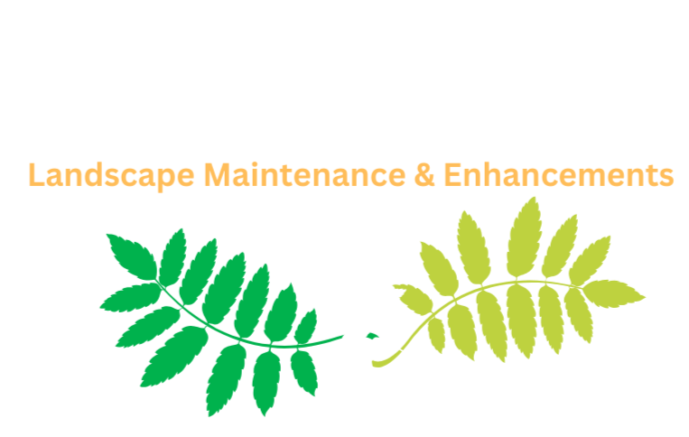 Landscaping ReLeaf