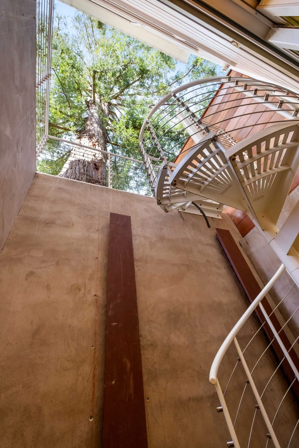 Interior view of a spiral staircase and a large tree visible through an open ceiling in a room with beige walls.