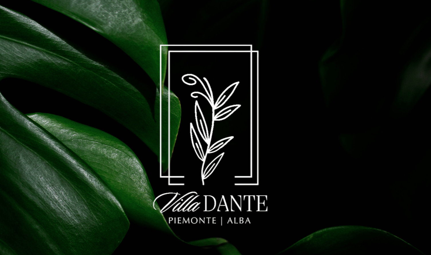 Portfolio creativo