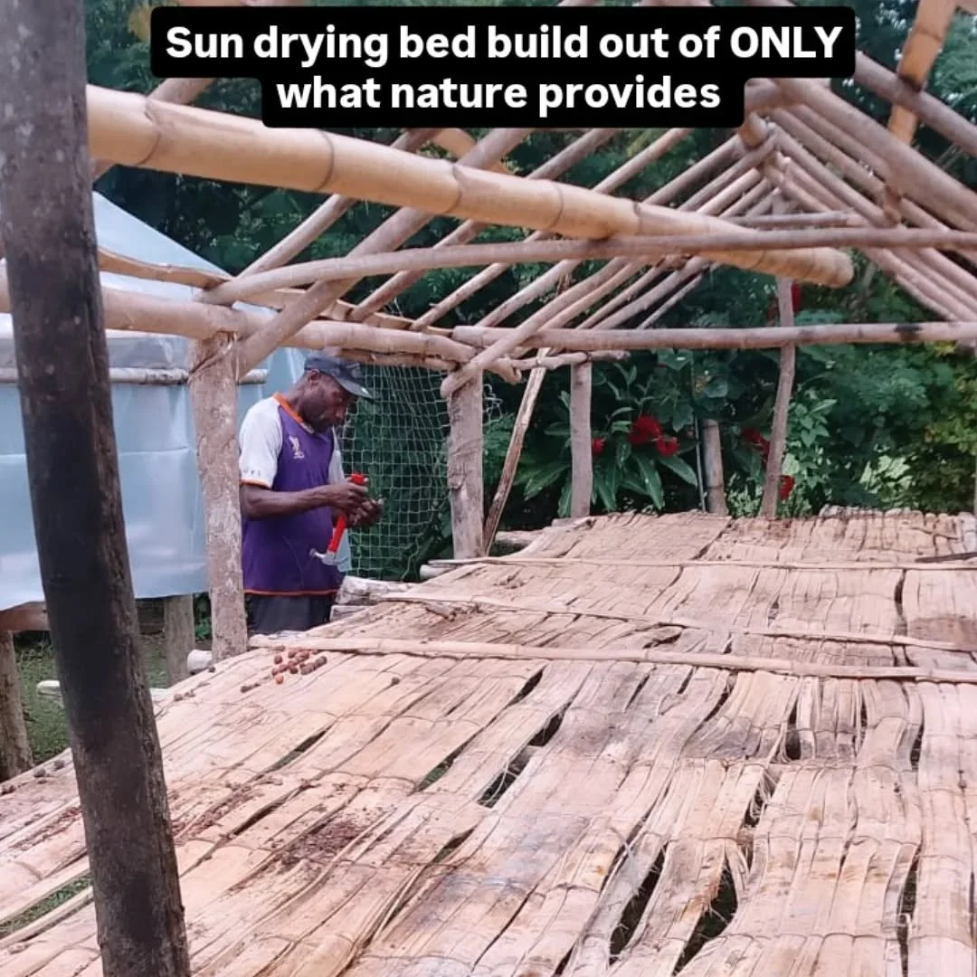 #greenforestoils #bamboo #tamanuoil #viralpost