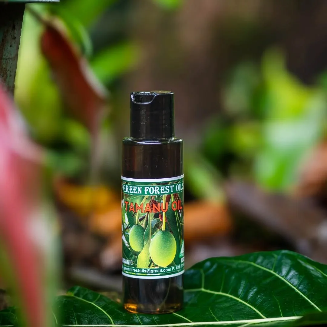 Green Forest Oils &ndash; Pure Tamanu oil - A Story Rooted in Vanuatu

Along the untouched coastlines of Vanuatu, ancient Tamanu trees have been growing for hundreds of years, their roots firmly planted in the rich volcanic soils of our islands. Thes