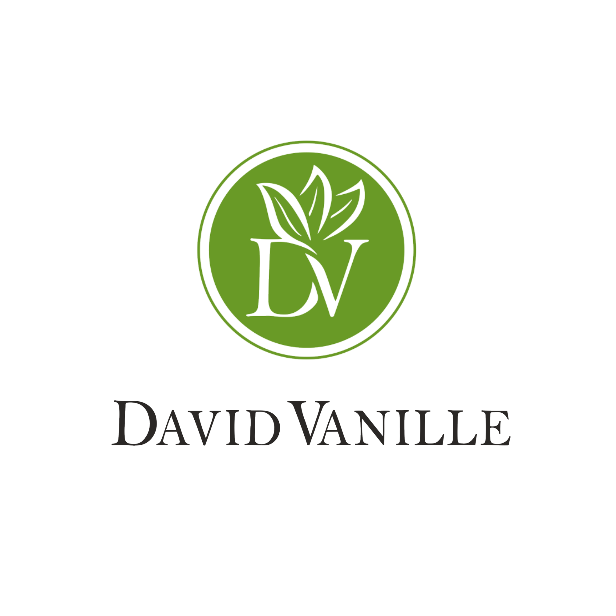 David Vanille logo