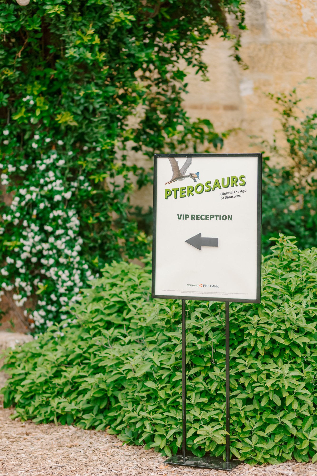 Signboard with the text 'PTEROSAURS' and 'VIP RECEPTION' with a left arrow, surrounded by green bushes and plants, and a stone wall in the background.