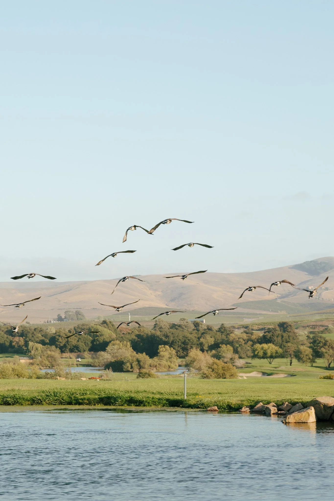 eagle-vines-golf-club-wedding-napa-70.jpg