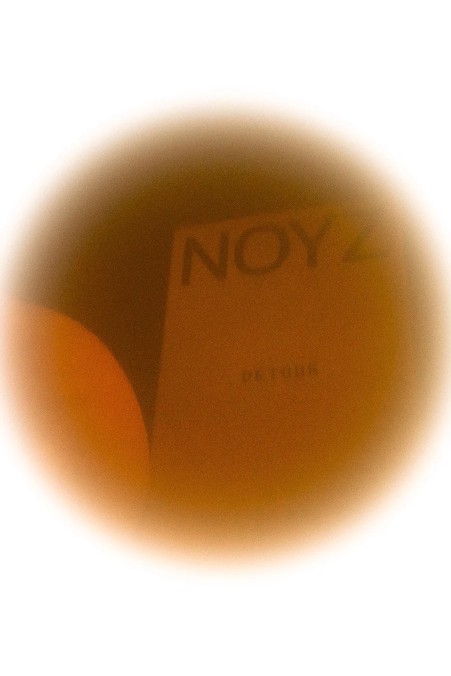 trishalindseyphotography_noyz_7.jpg