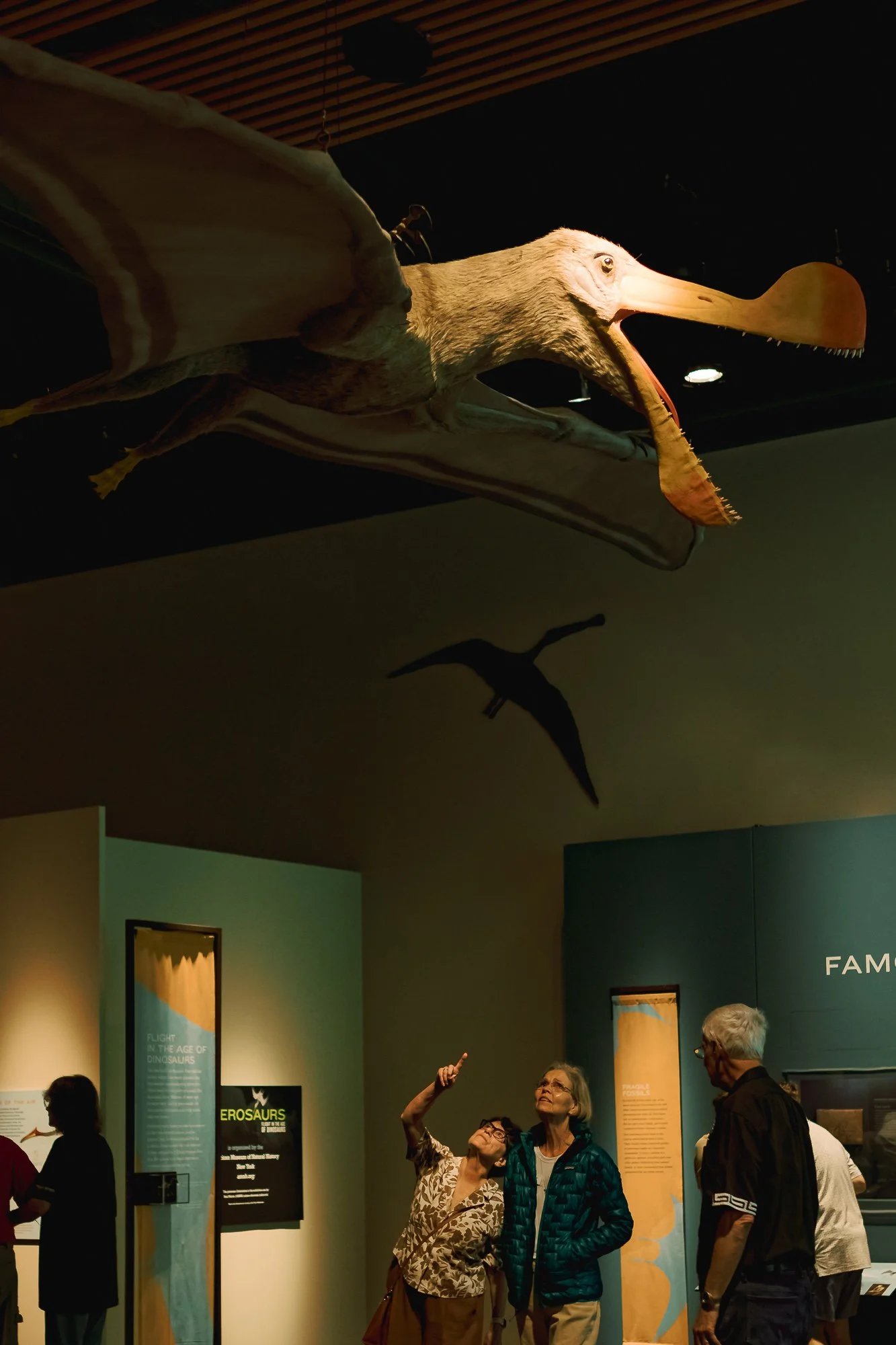 Museum exhibit with a large hanging model of a pterosaur, visitors observing and discussing, informational displays on dinosaurs and evolution.