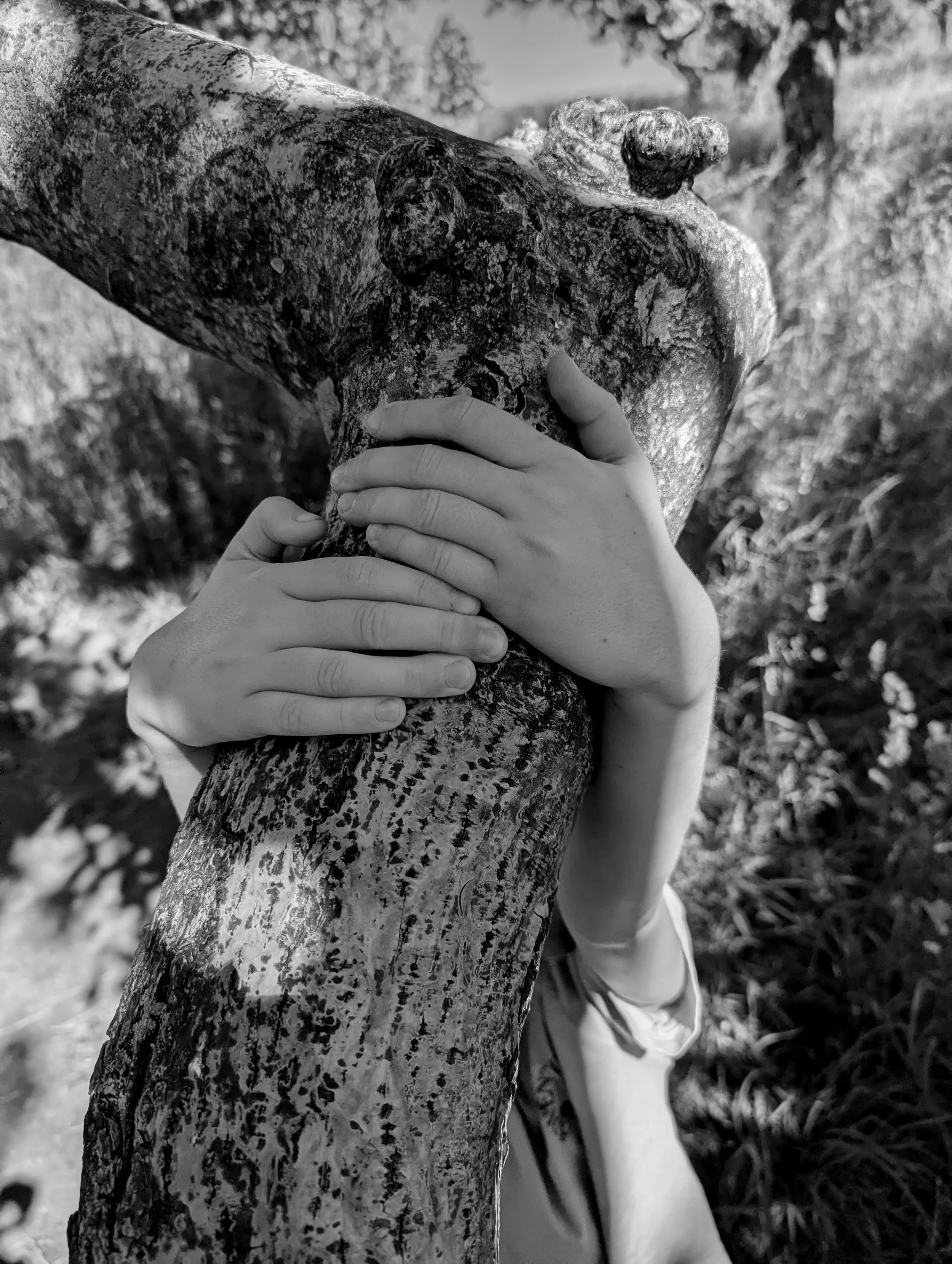 e l e v e n
years is too old
(you said)

you're not ready
to grow up
(you said)

but I see something
perhaps you're still discovering

this wonderful being
becoming

the same being
who locked owl eyes with me
e l e v e n
years ago today

after I spli