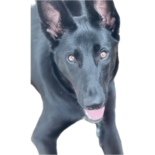 F8D21352-84AF-45E5-ABB8-BAFEB5EB3D81.png