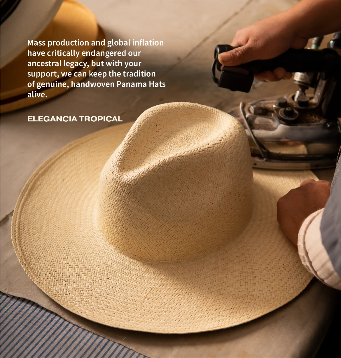 IMG_3907 (1).PNG