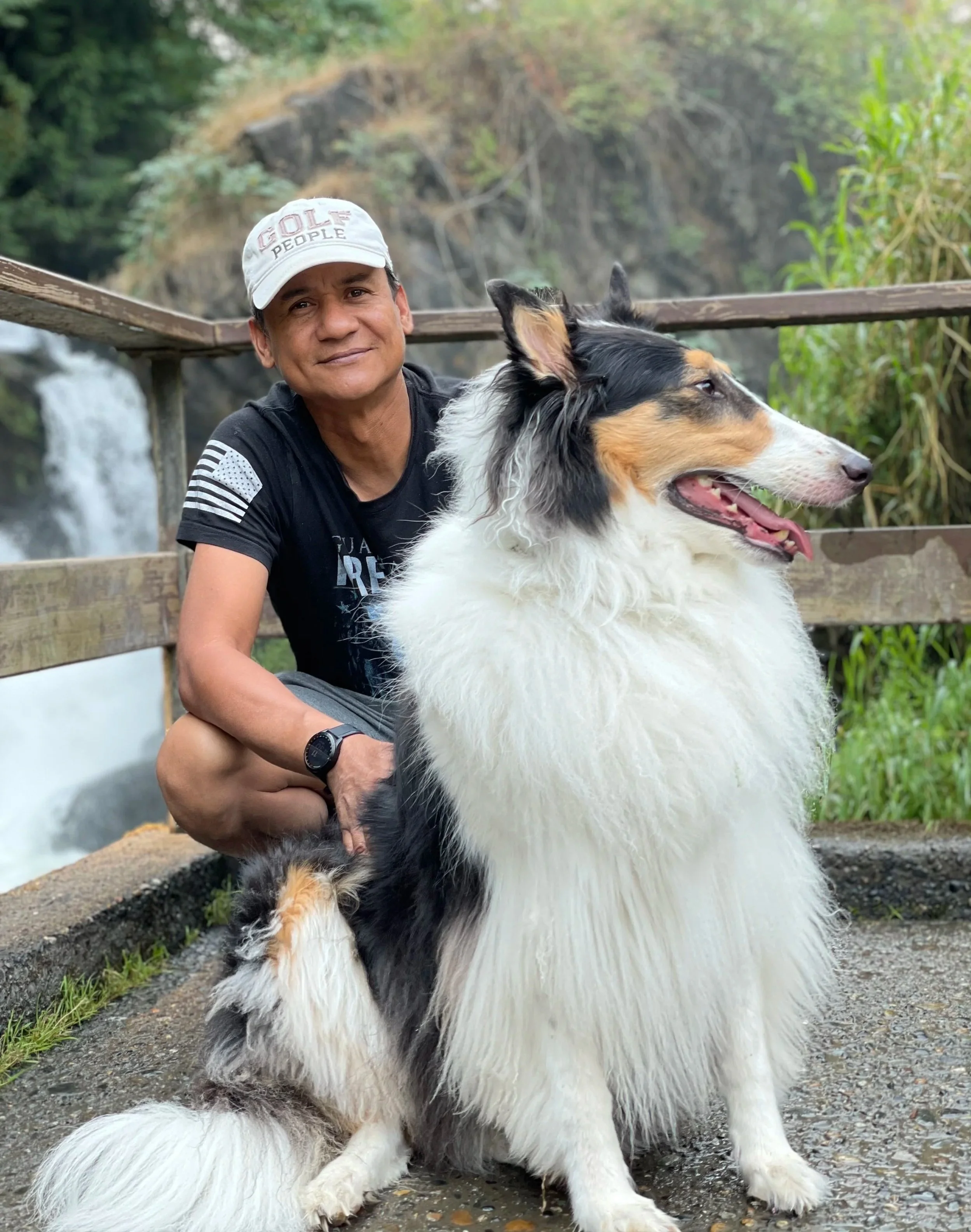 A man squatting next to a large, fluffy Shetland Sheepdog in front of a waterfall and lush greenery.