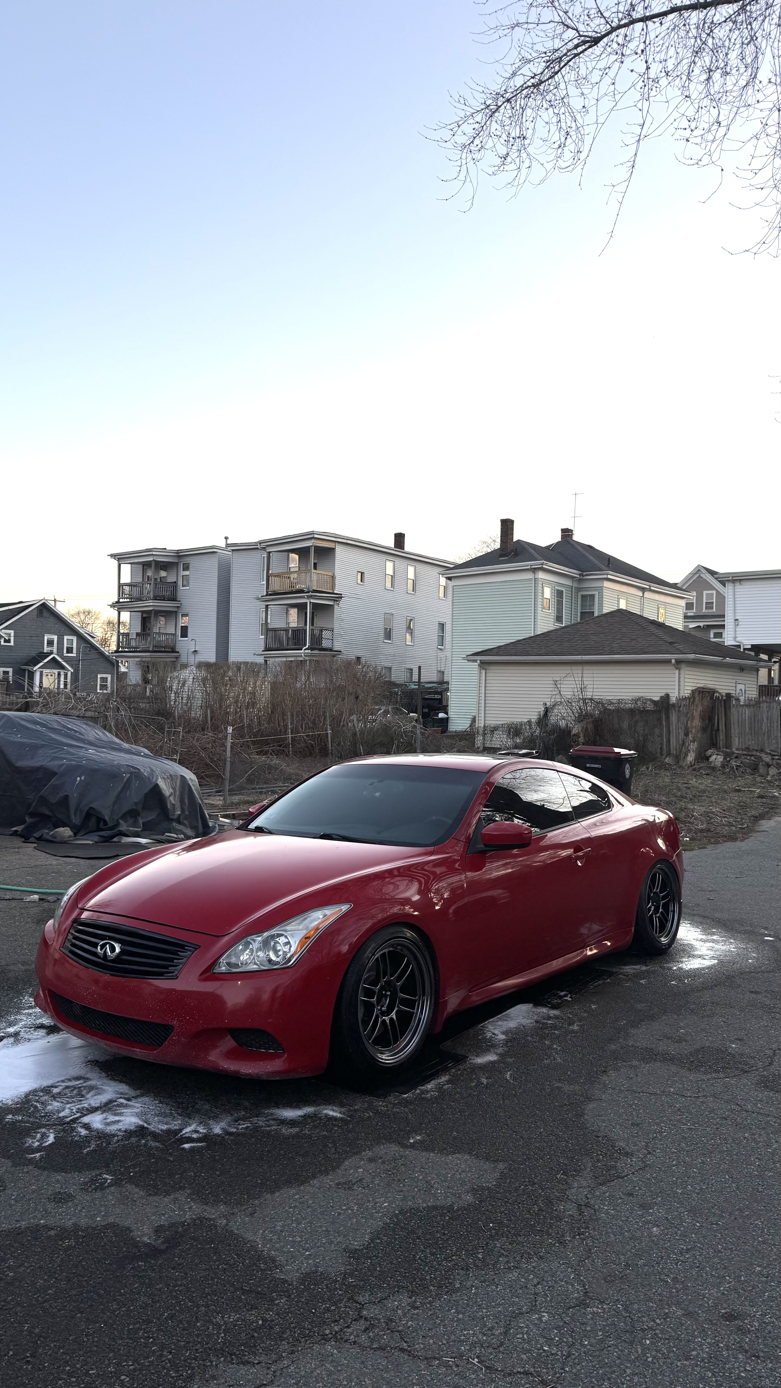 IMG_1115.png