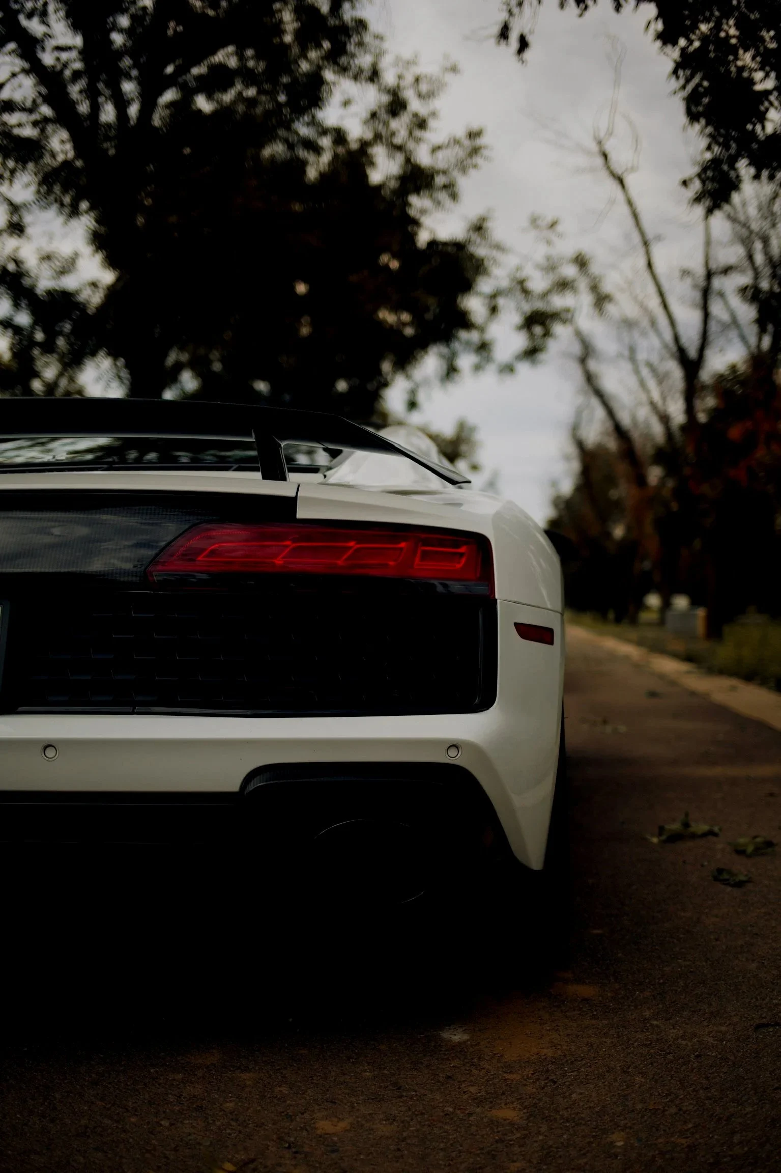 Partial rear view of a white sports car parked on a street, with trees and overcast sky in the background.