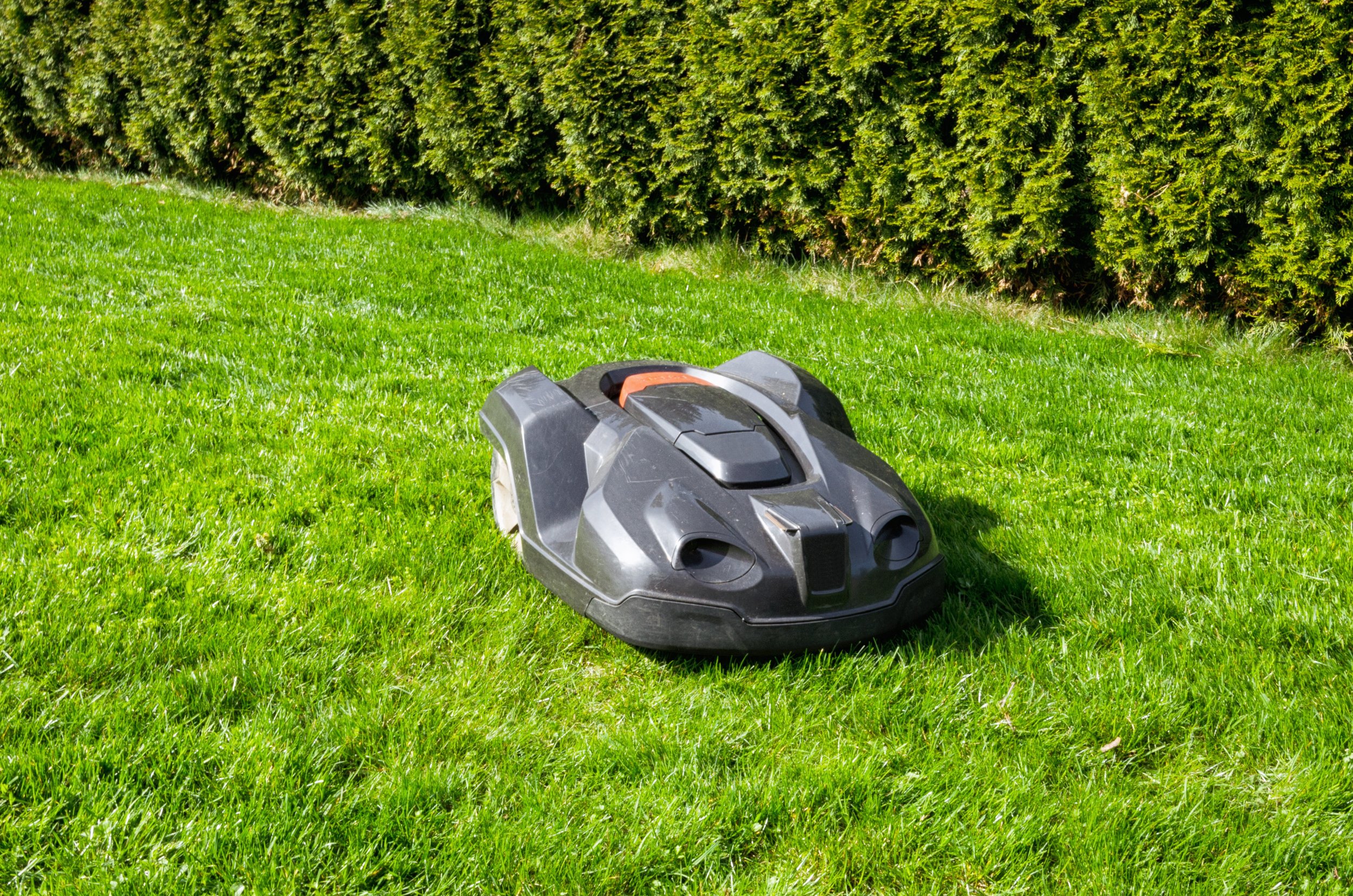 Robot mowing