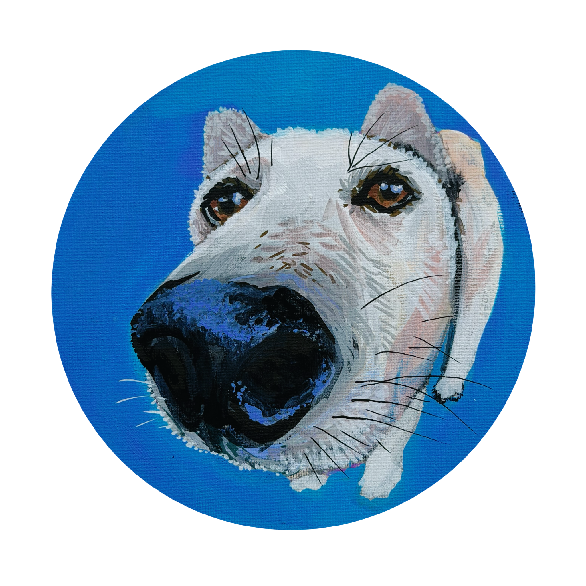 Untitled_Artwork 67.png