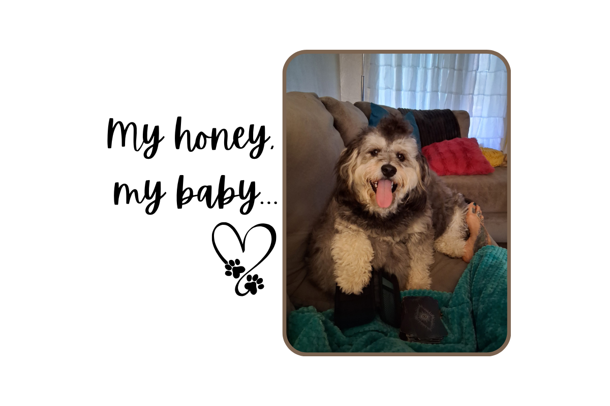 My honey, my baby…