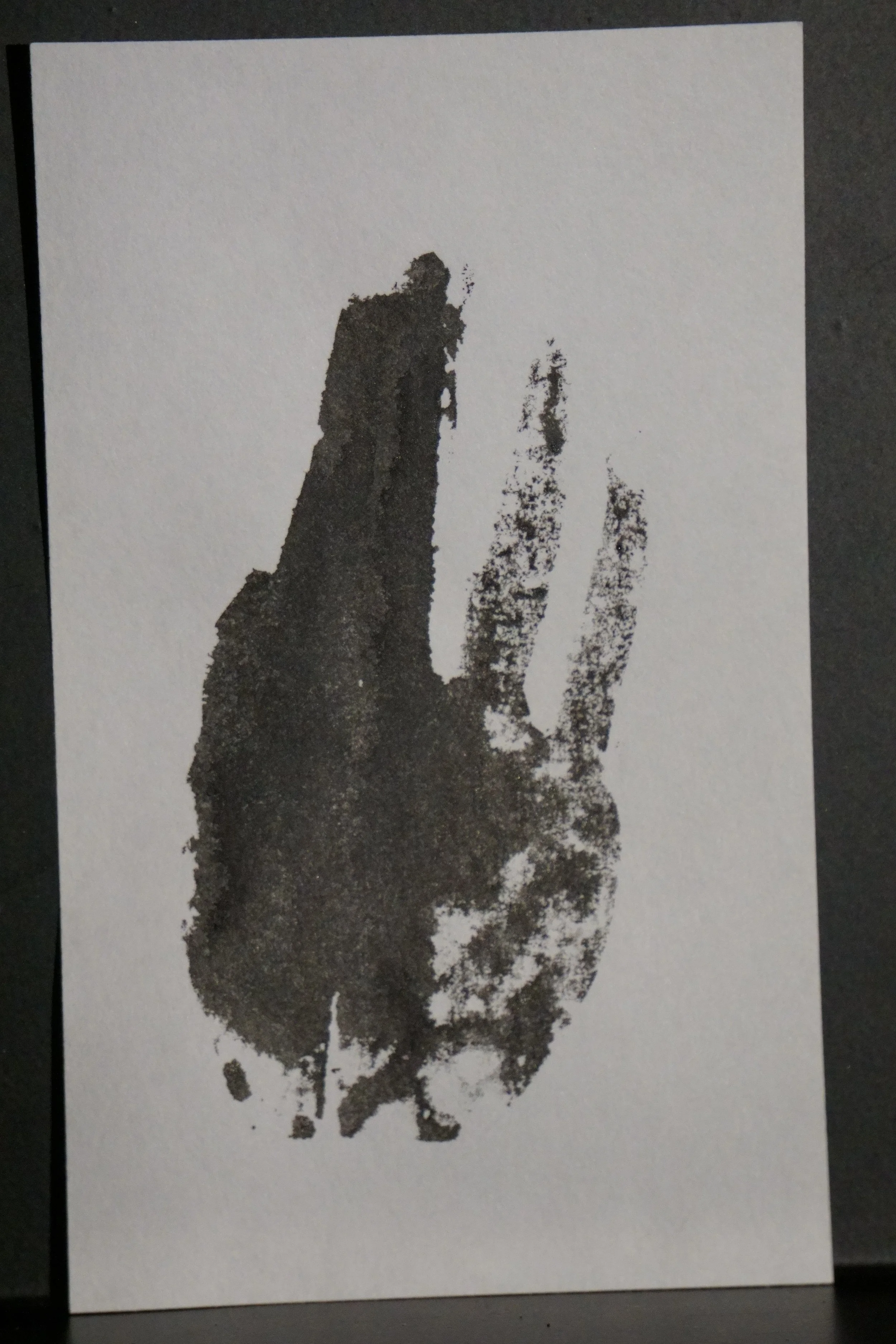 20260318-195606 - Copy.JPG