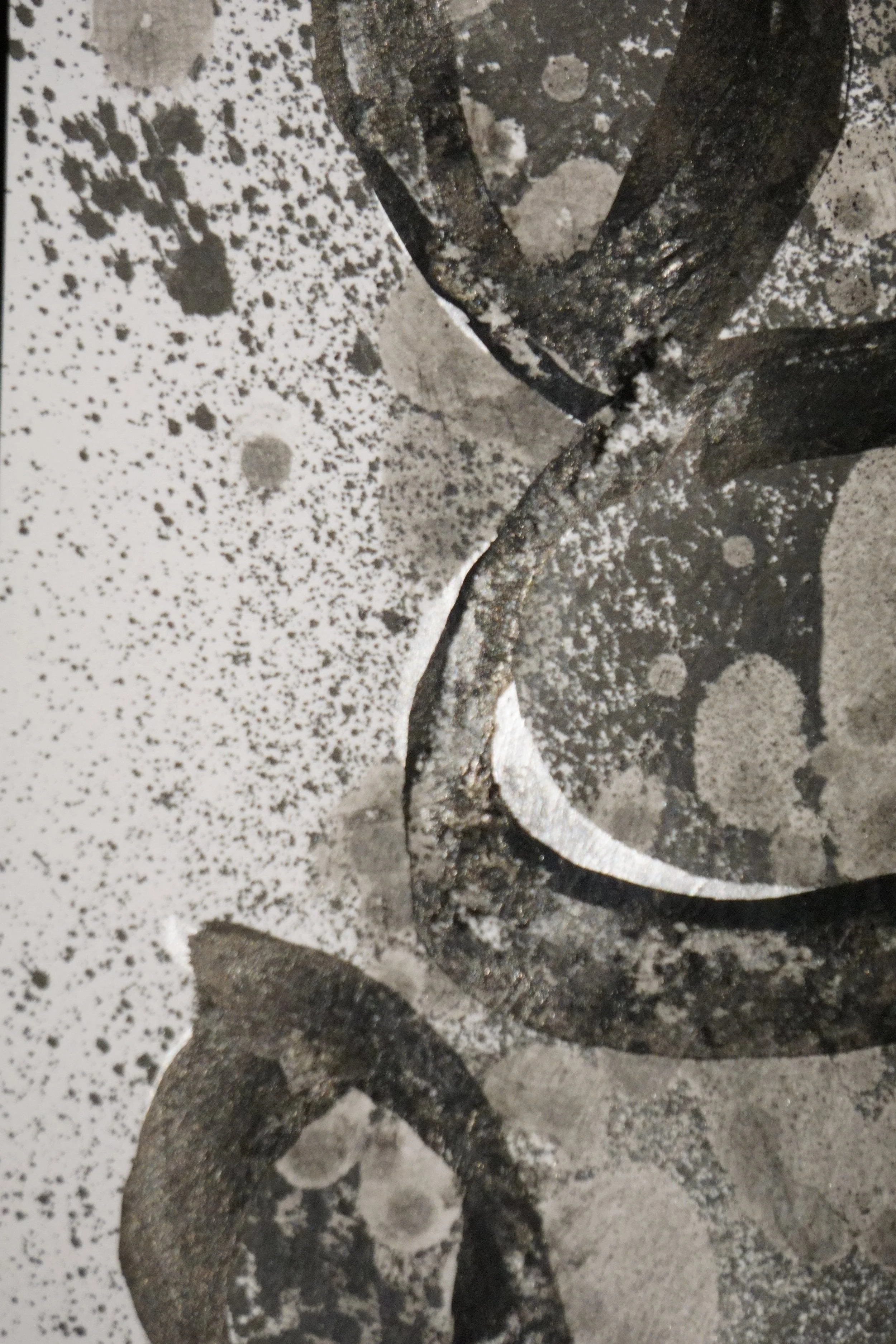 20260318-194350 - Copy.JPG