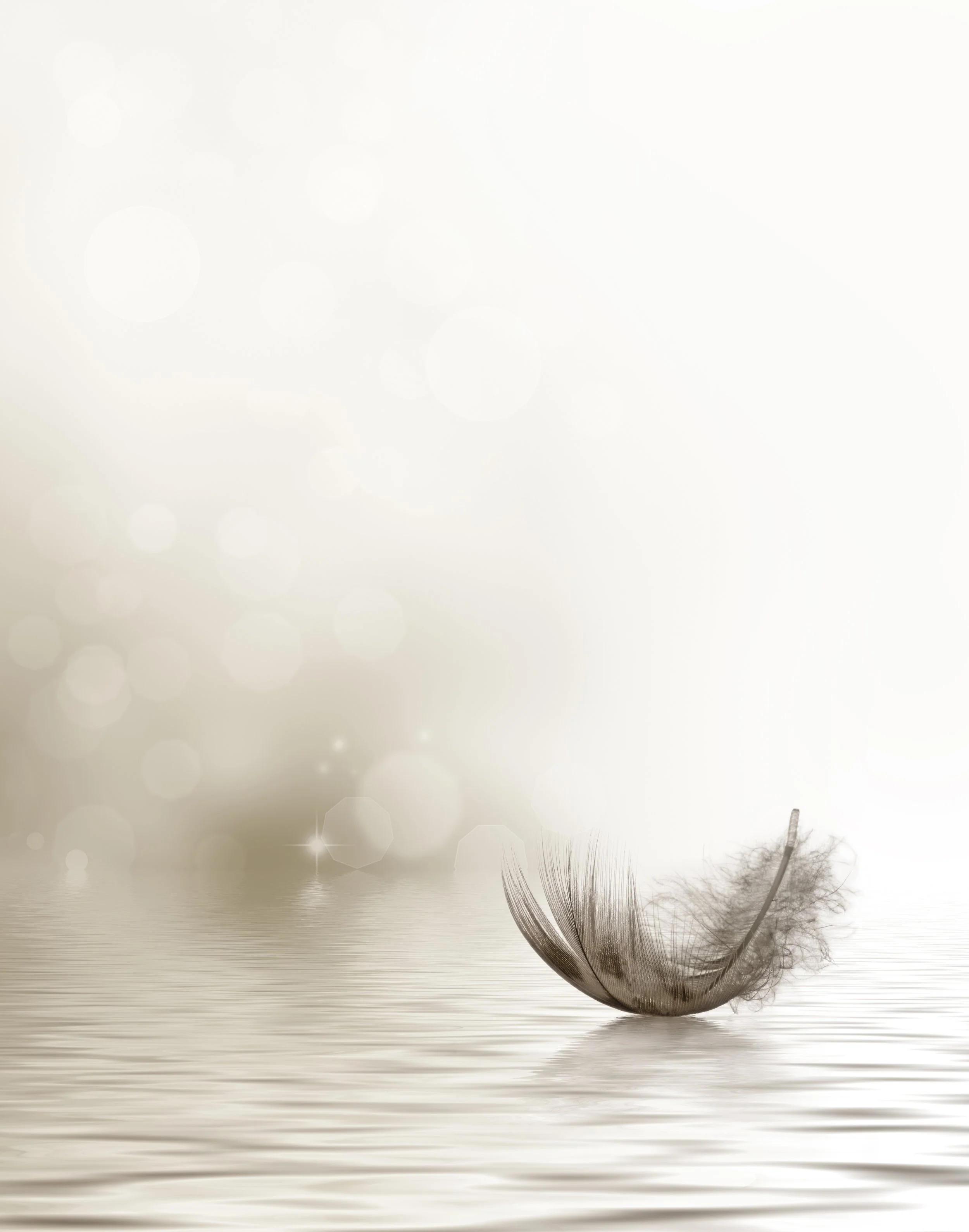 find calm in your grief and loss