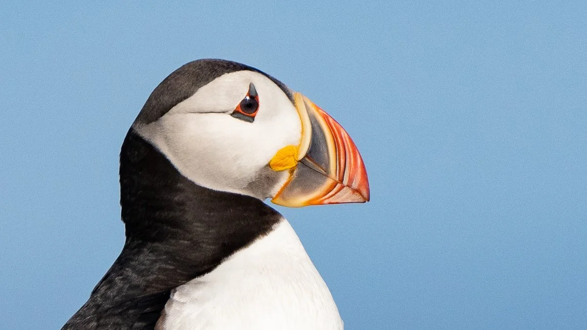 Basse Côte-Nord du Québec