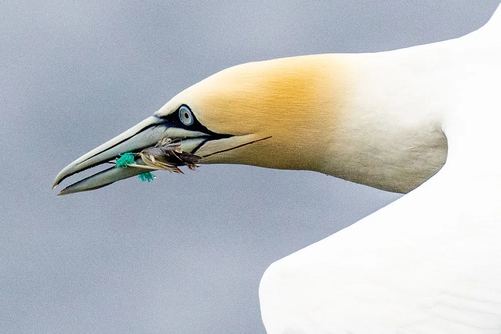 LES MARITIMES ET BLANC-SABLON