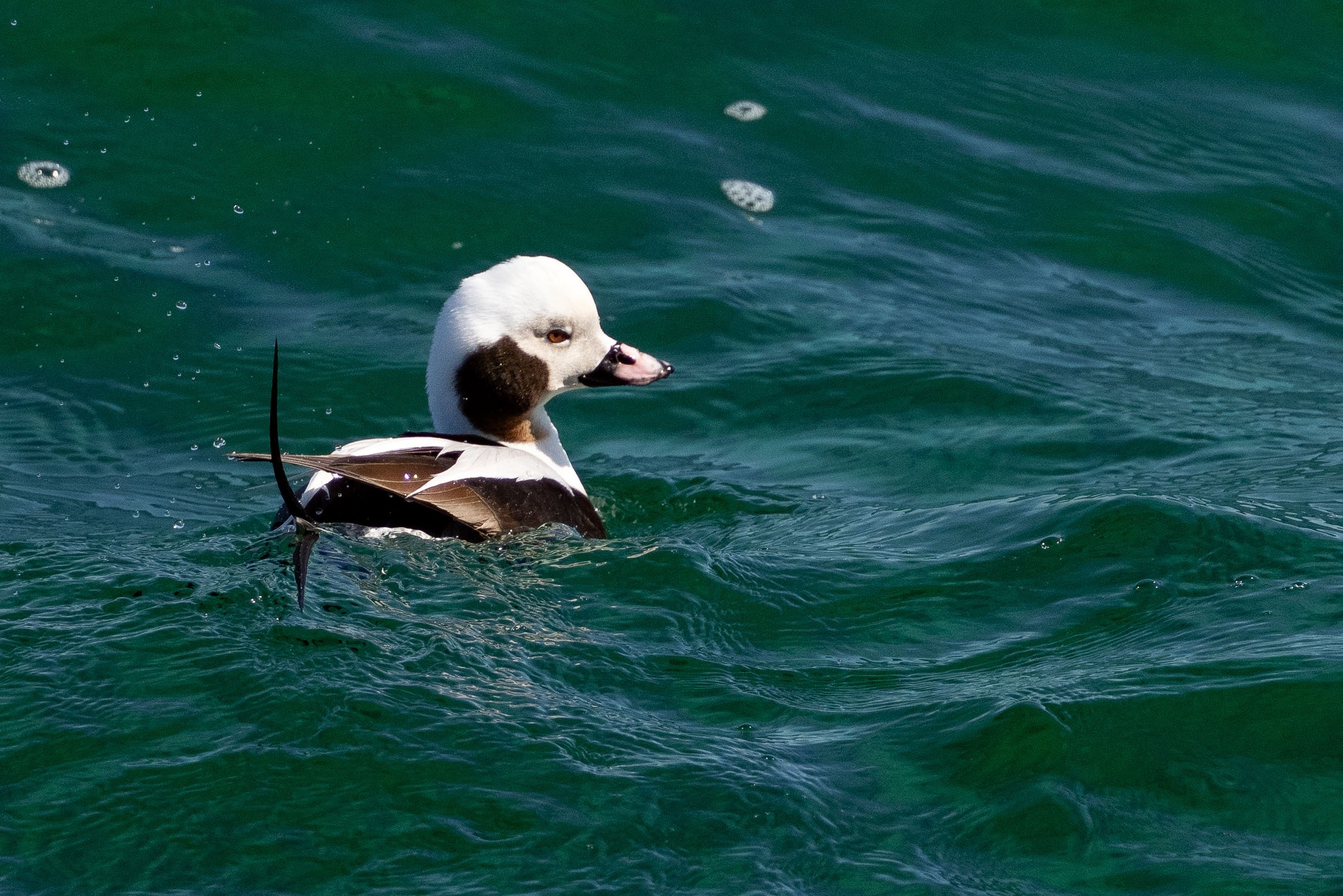 Fin de semaine de Pâques au Lac Ontario