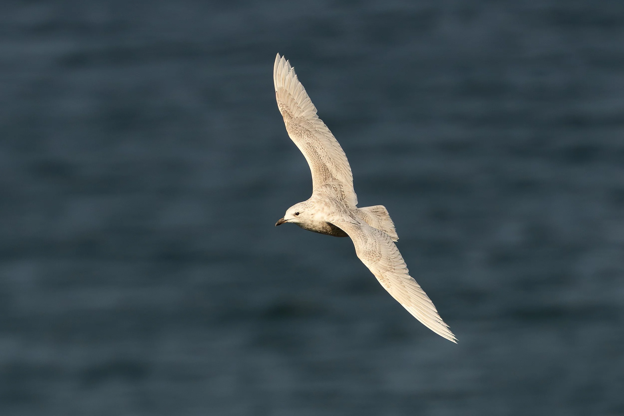 Vers les Îles-de-la-Madeleine