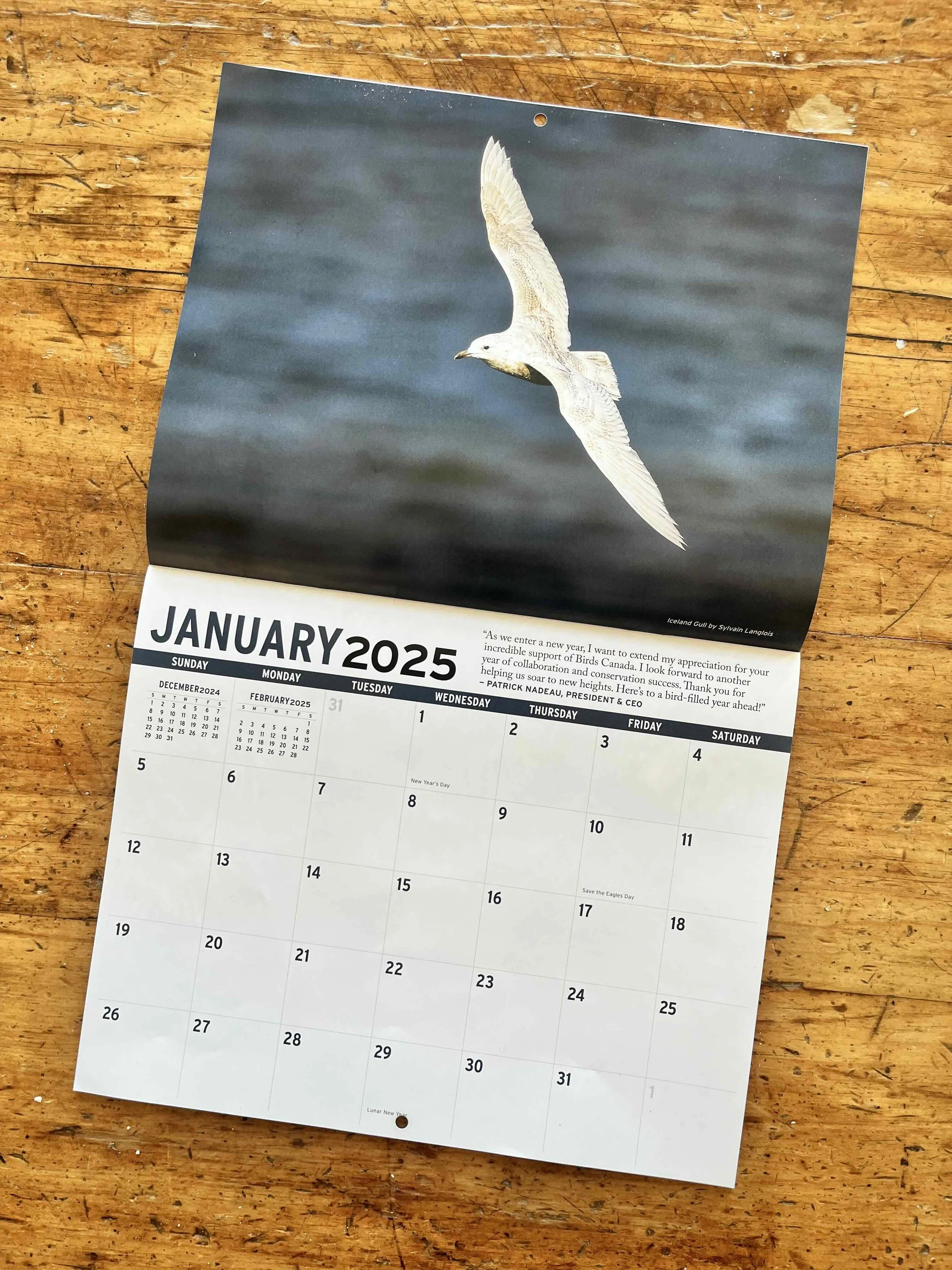 Calendrier Canada Birds 2025