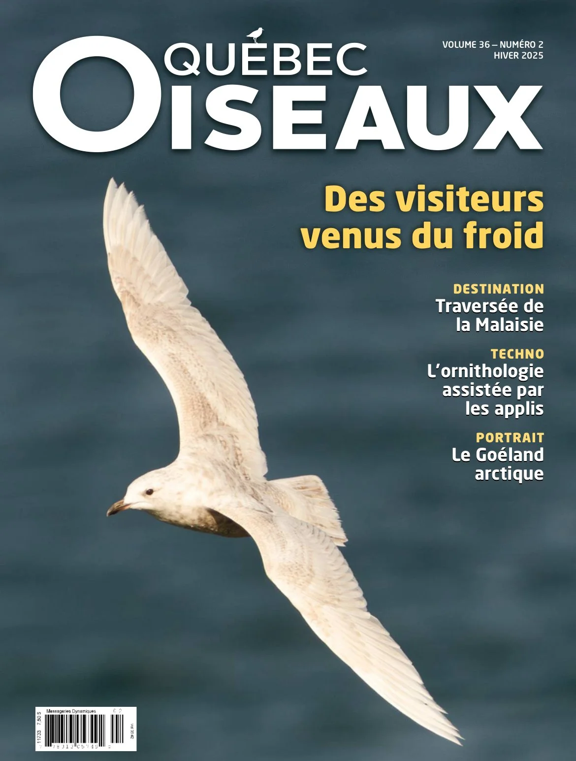 Couverture d'un magazine intitulé "Québec Oiseaux" montrant un goéland en vol au-dessus de l'eau, avec des titres en français sur des sujets liés à l'oiseau, la Malaisie, la technologie et le Groenland arctique.