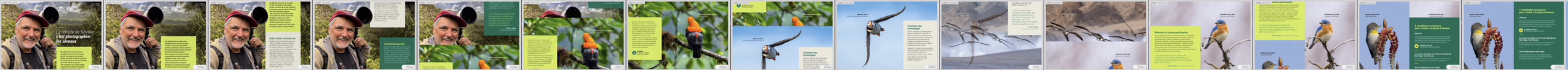 Une série de pages de magazine ou de brochure illustrant des sujets liés à l'environnement, notamment des oiseaux en vol et en train de se nicher dans la nature.