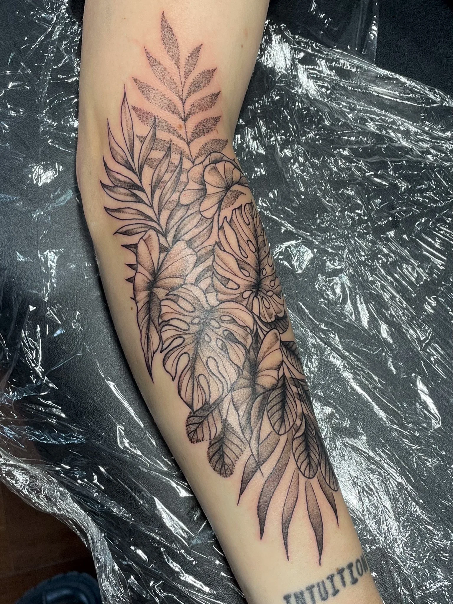 Line art tattoo of various tropical leaves on a person's forearm.