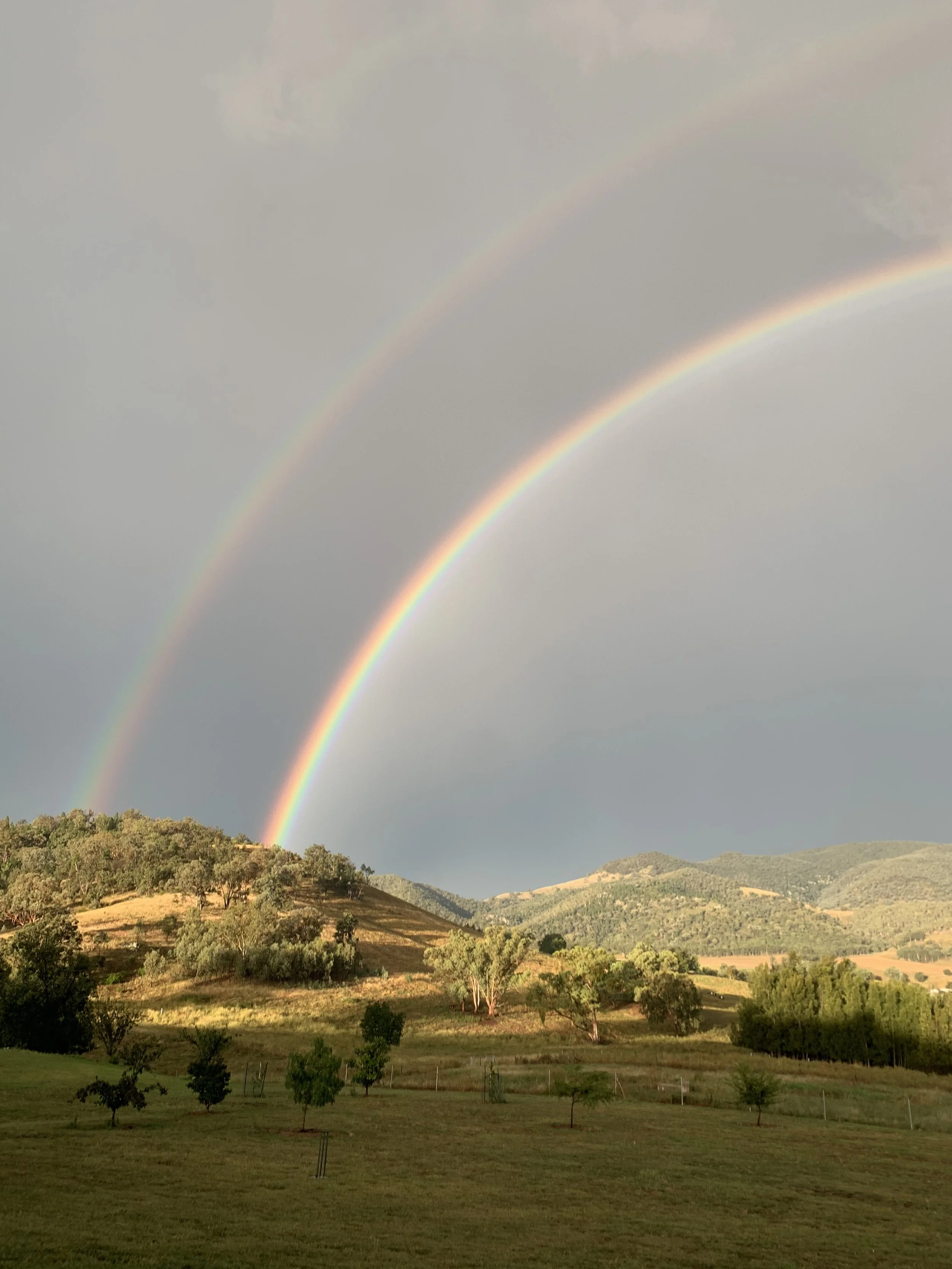 A landscape with rolling hills, trees, and a double rainbow in a cloudy sky.