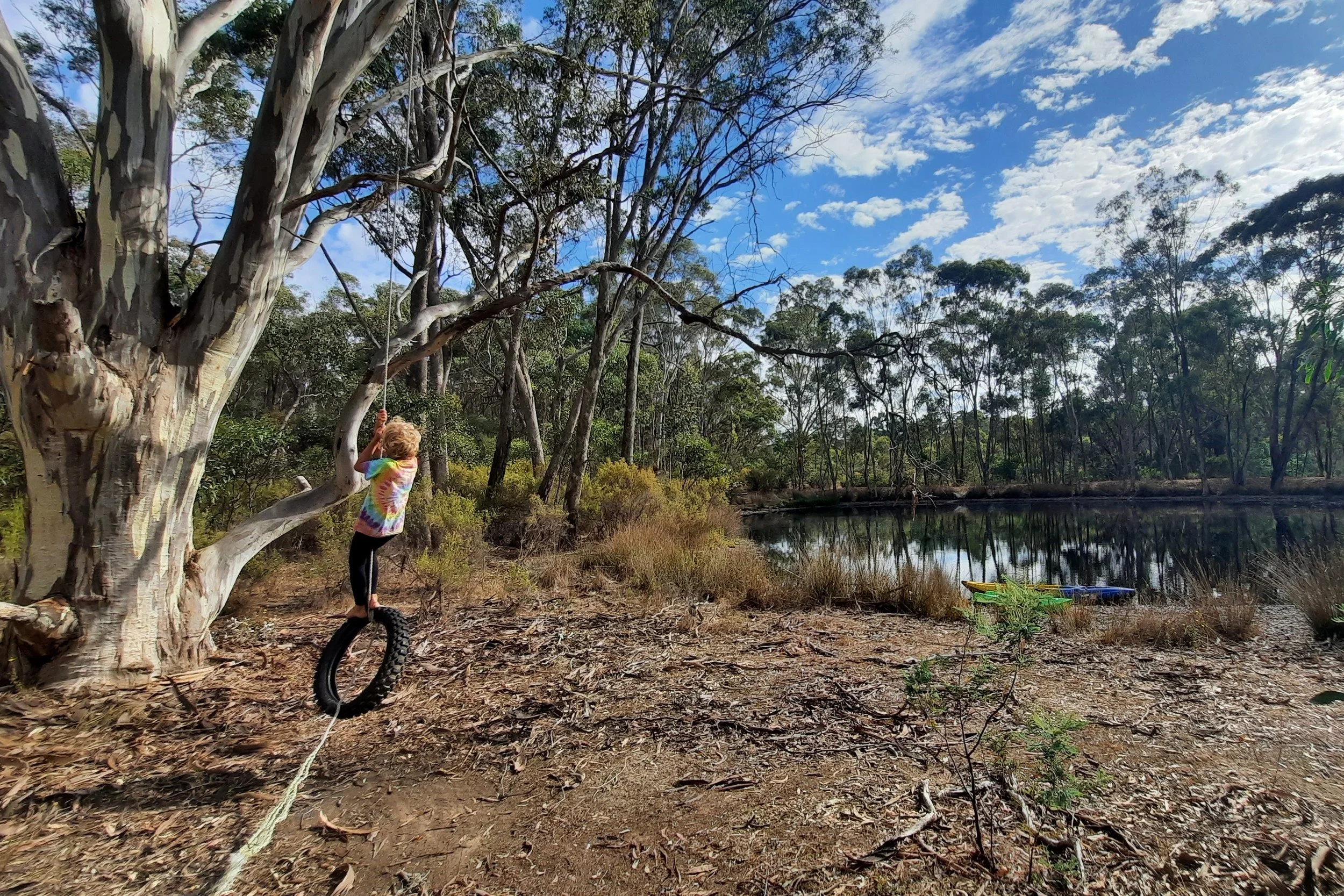 Tree swing-3x2.jpg