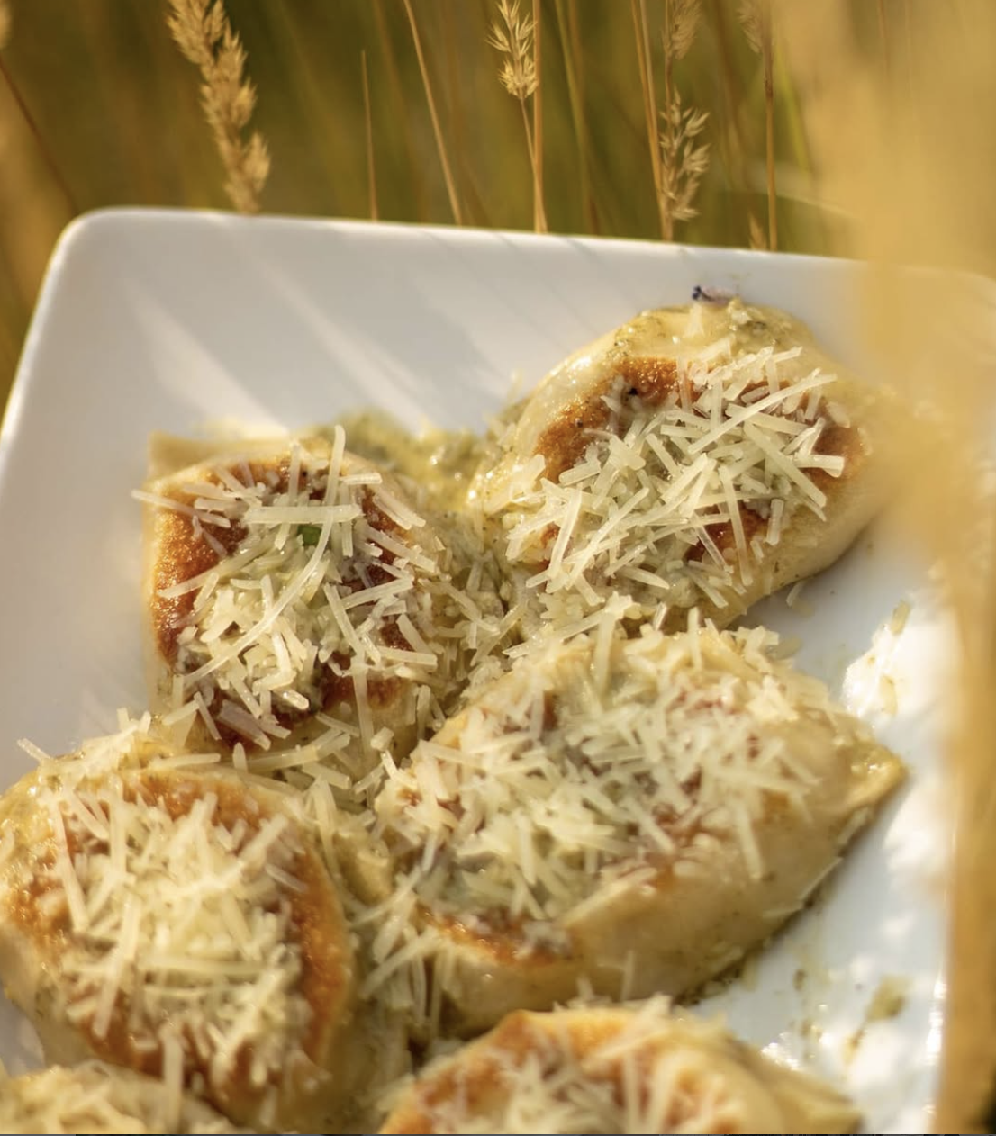 Close-up of cooked enchiladas topped with shredded cheese on a white plate.