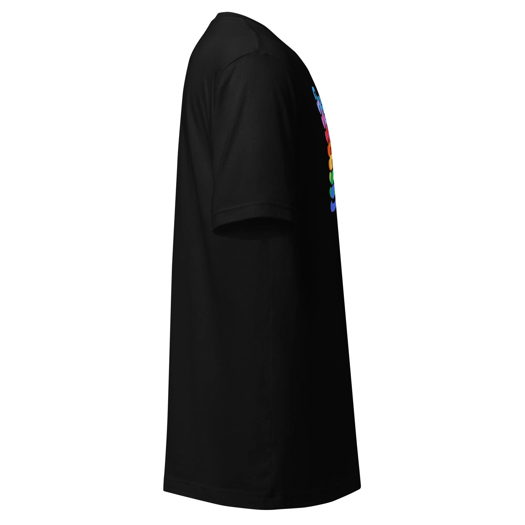 unisex-staple-t-shirt-black-right-6aacd26c15529.jpg