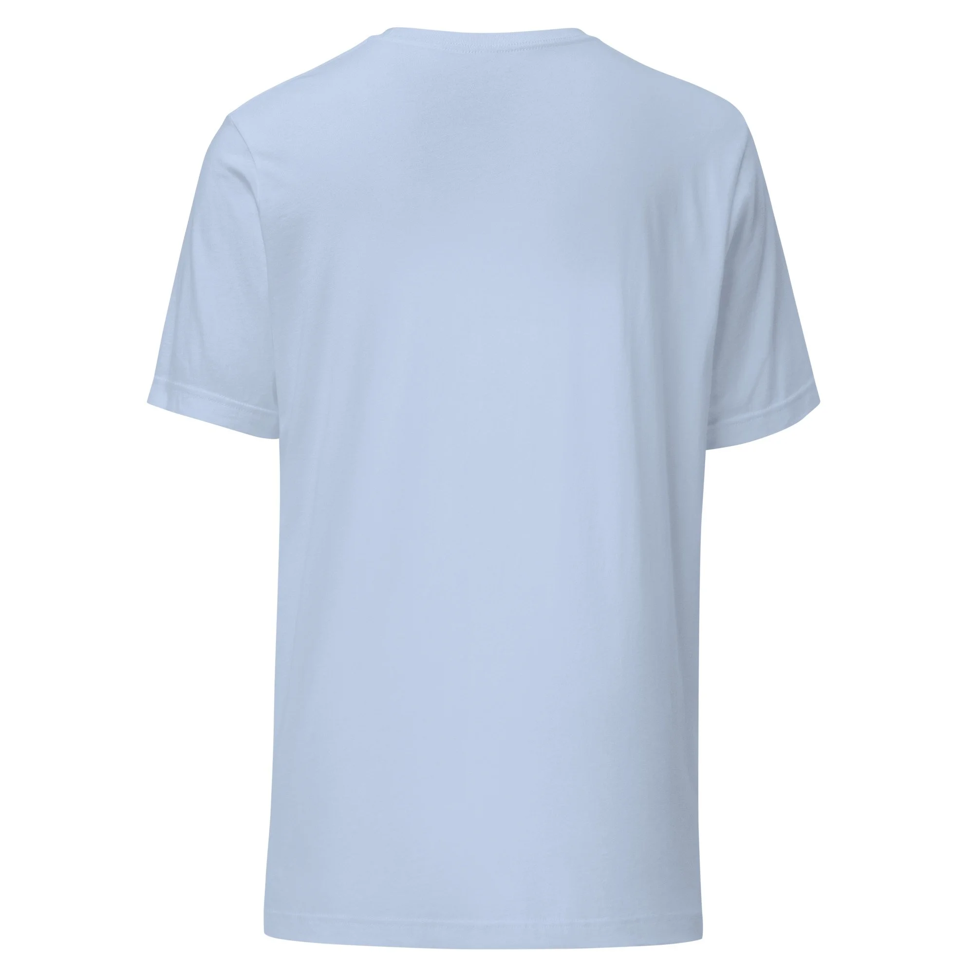 unisex-staple-t-shirt-baby-blue-back-6aacd26c14b2a.jpg