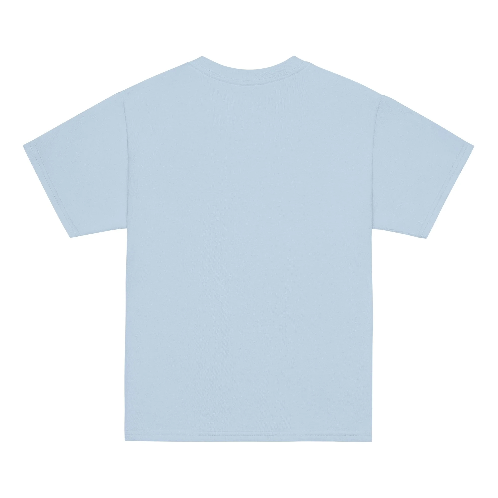 youth-classic-tee-light-blue-back-6aacde78a6cbf.jpg