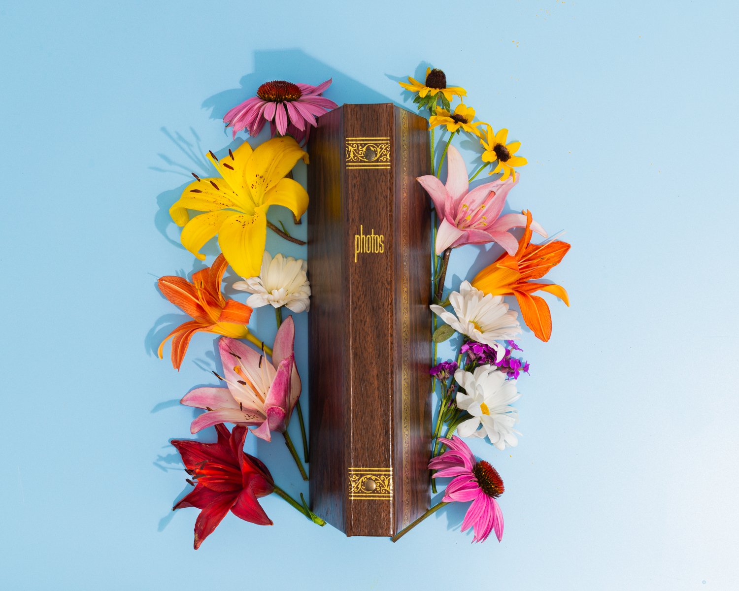 Jessiena_Lake_Gardening_With_My_Grandmother_Album_Spine_1500.jpg