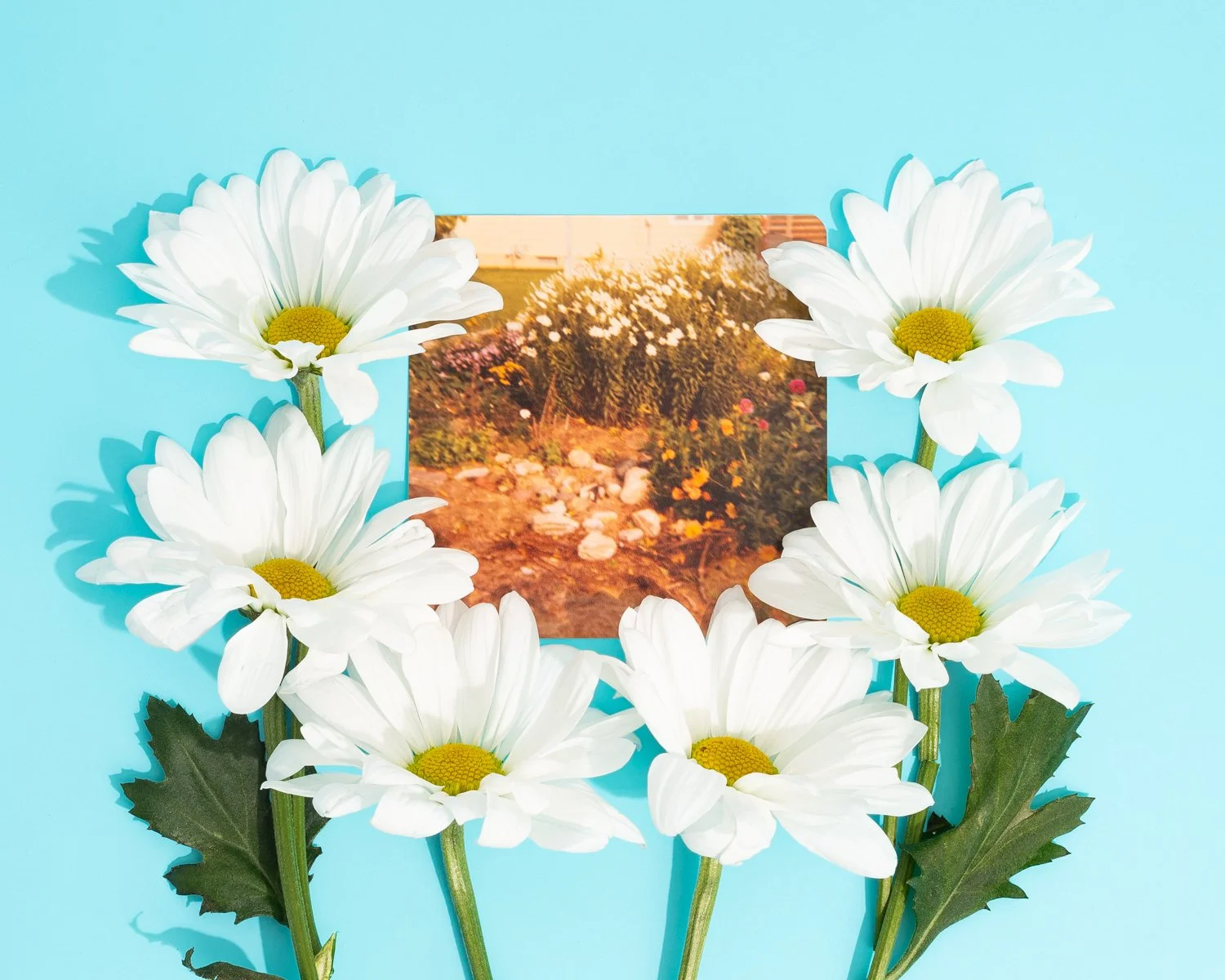 Jessiena_Lake_Gardening_With_My_Grandmother_Daisy_1500.jpg