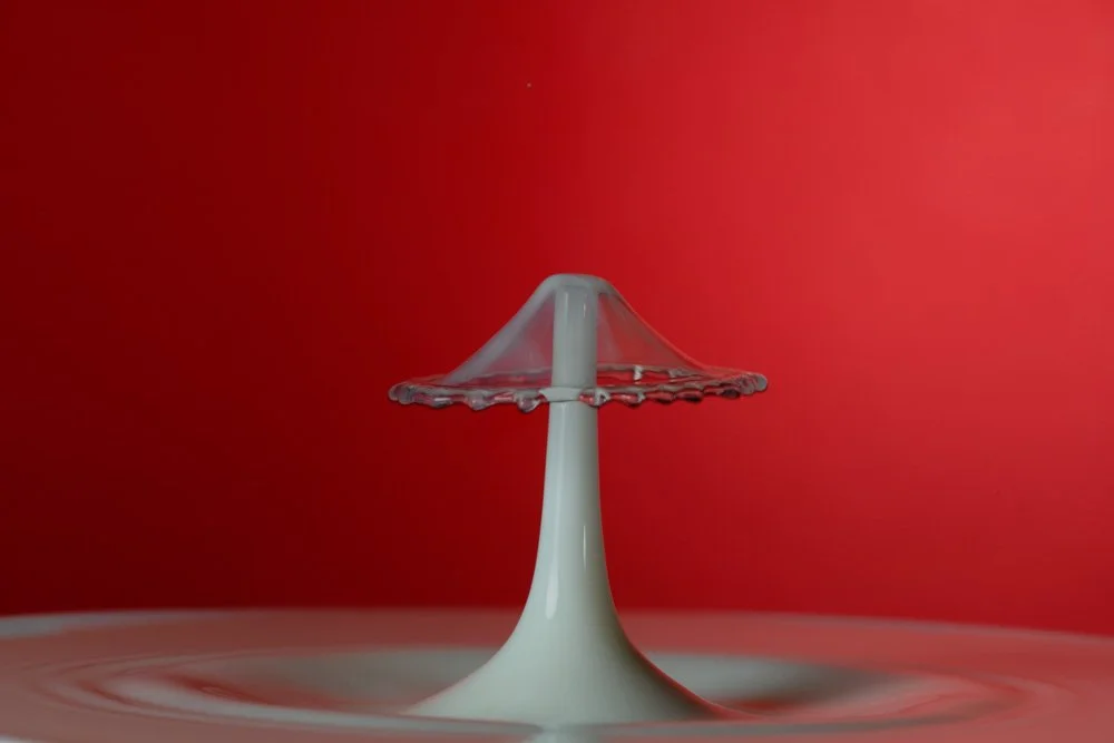 Water drops_-4656.jpg