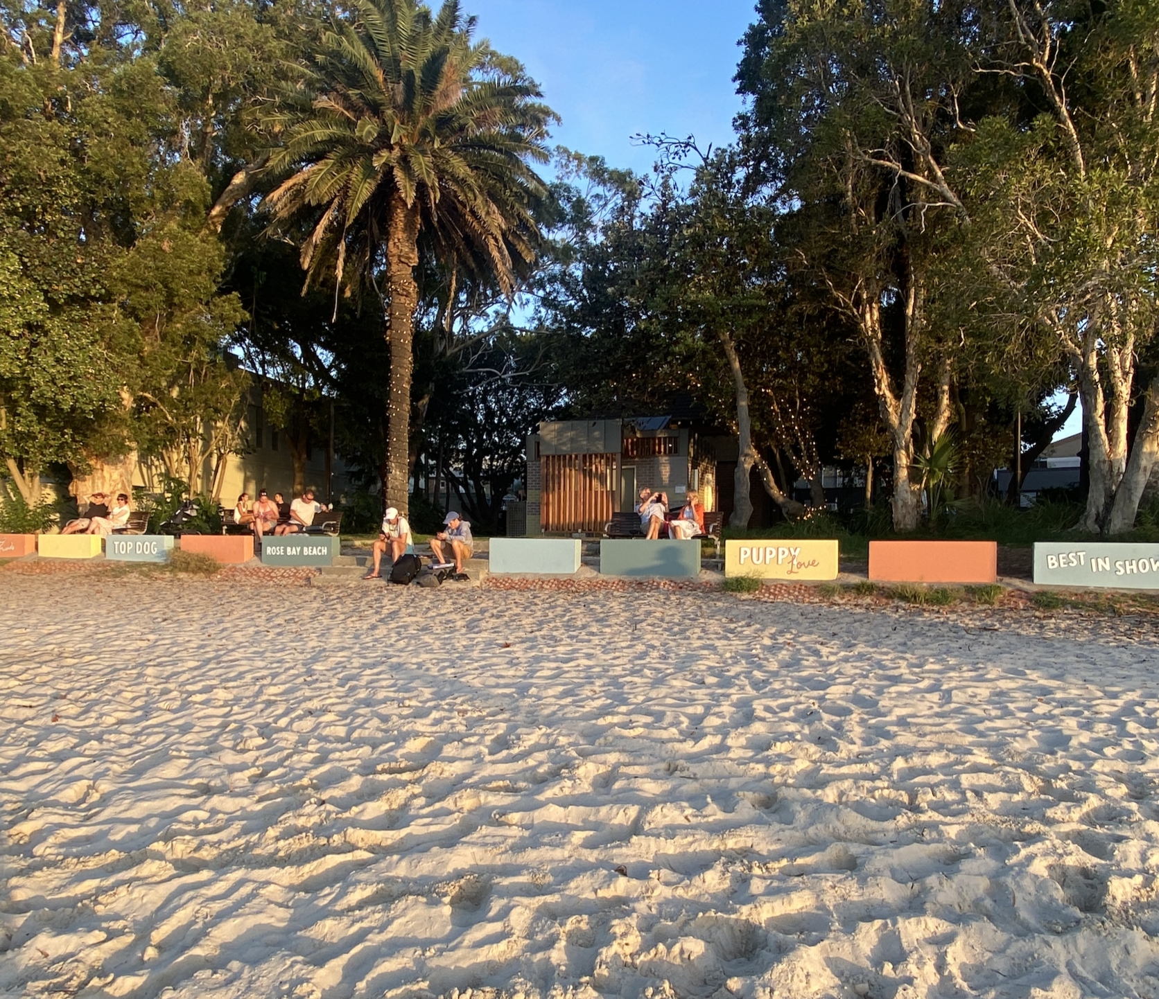 Rose-Bay-Beach-Bollards_Designed by Melissa Cook and Holly Williams.png