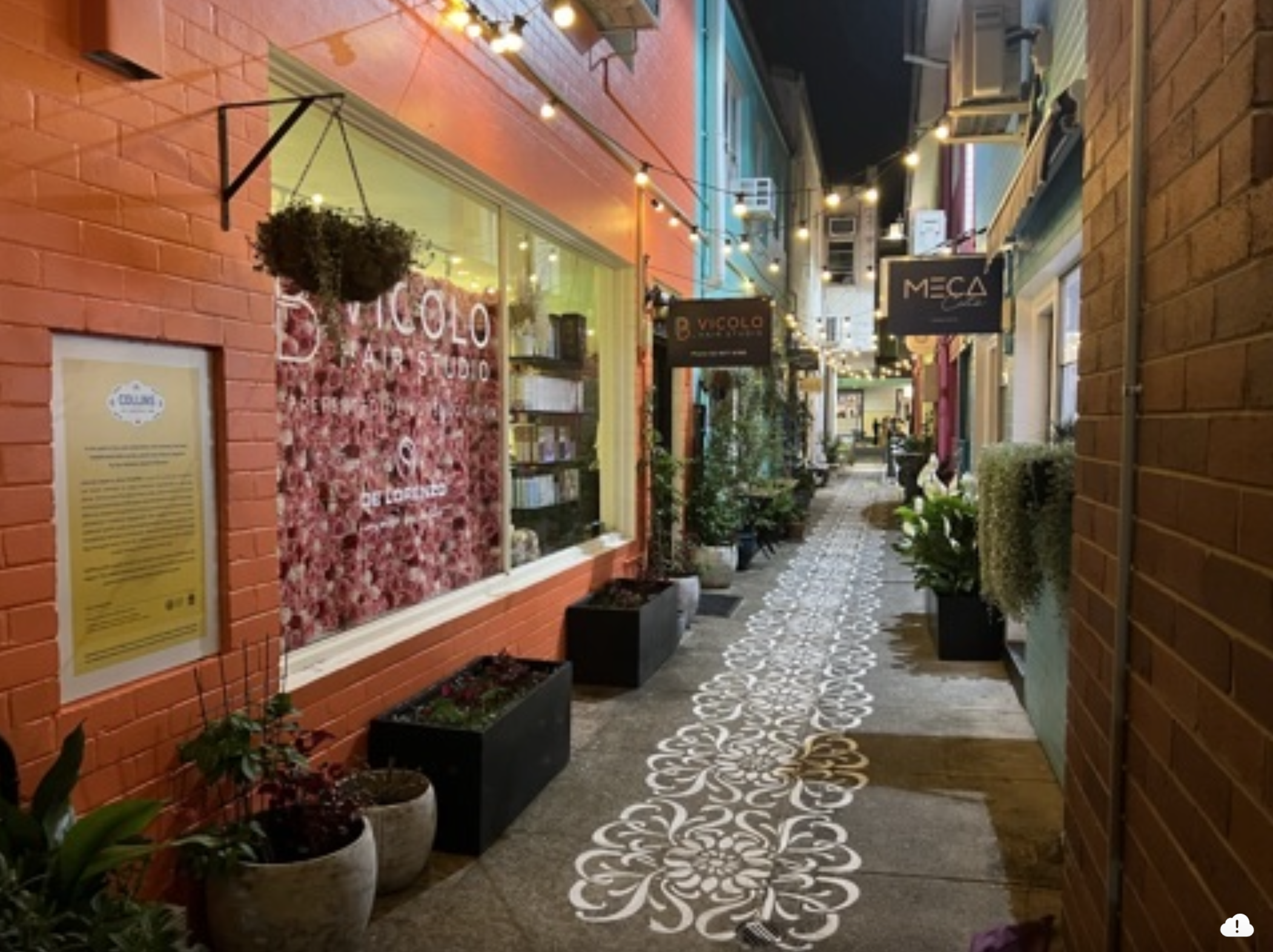 Collins Lane, Rose Bay with artist mural by Alice McAuliffe, curated by The Curators' Department and Caper Creative