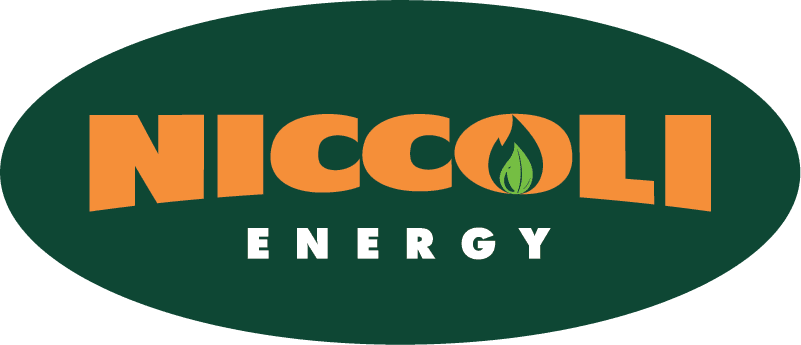 presenting-niccoli-energy.png