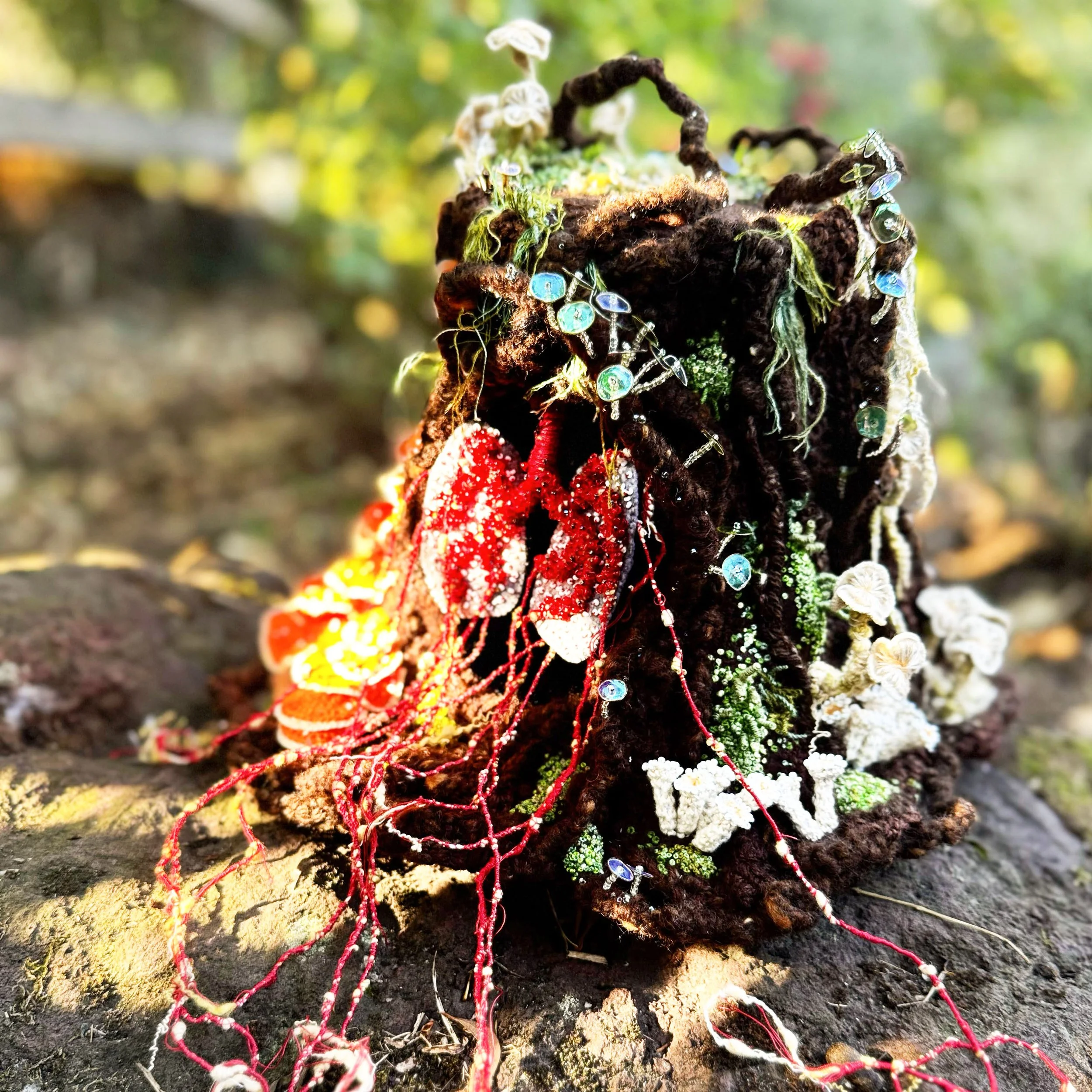 Silva Areæ II (En Liberté)