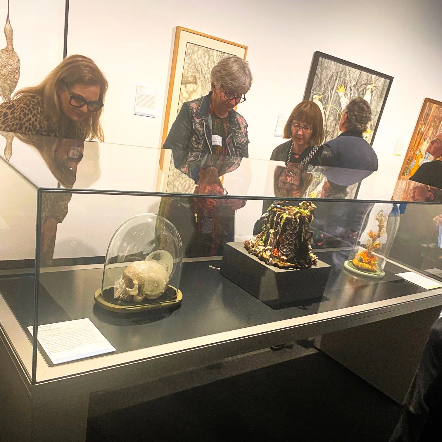 Silva Areæ II (South Australian Museum)