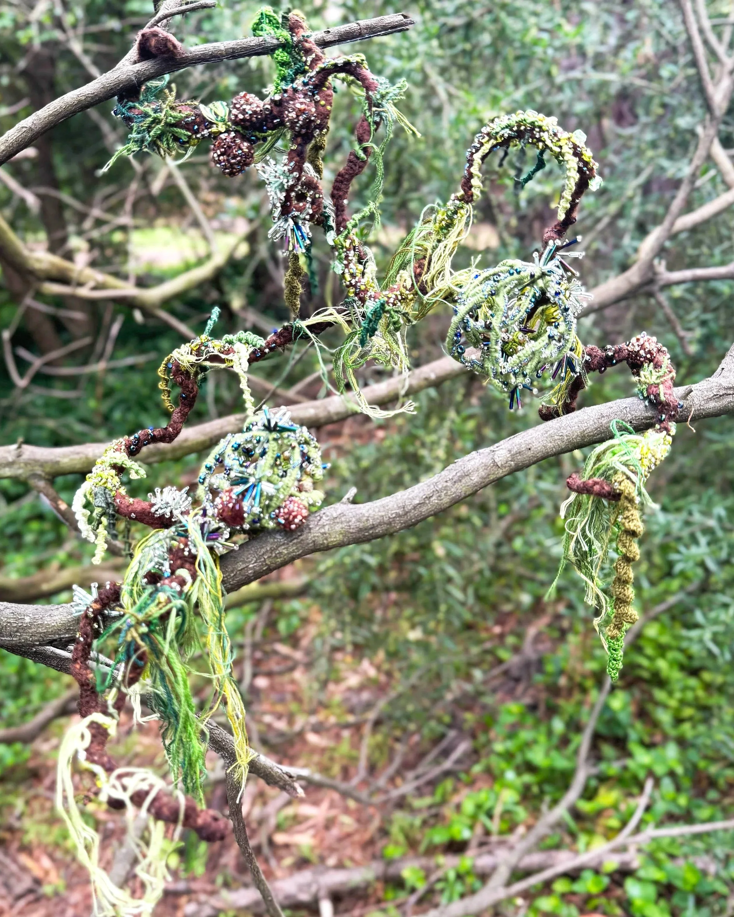 Silva Areæ (En Liberté)