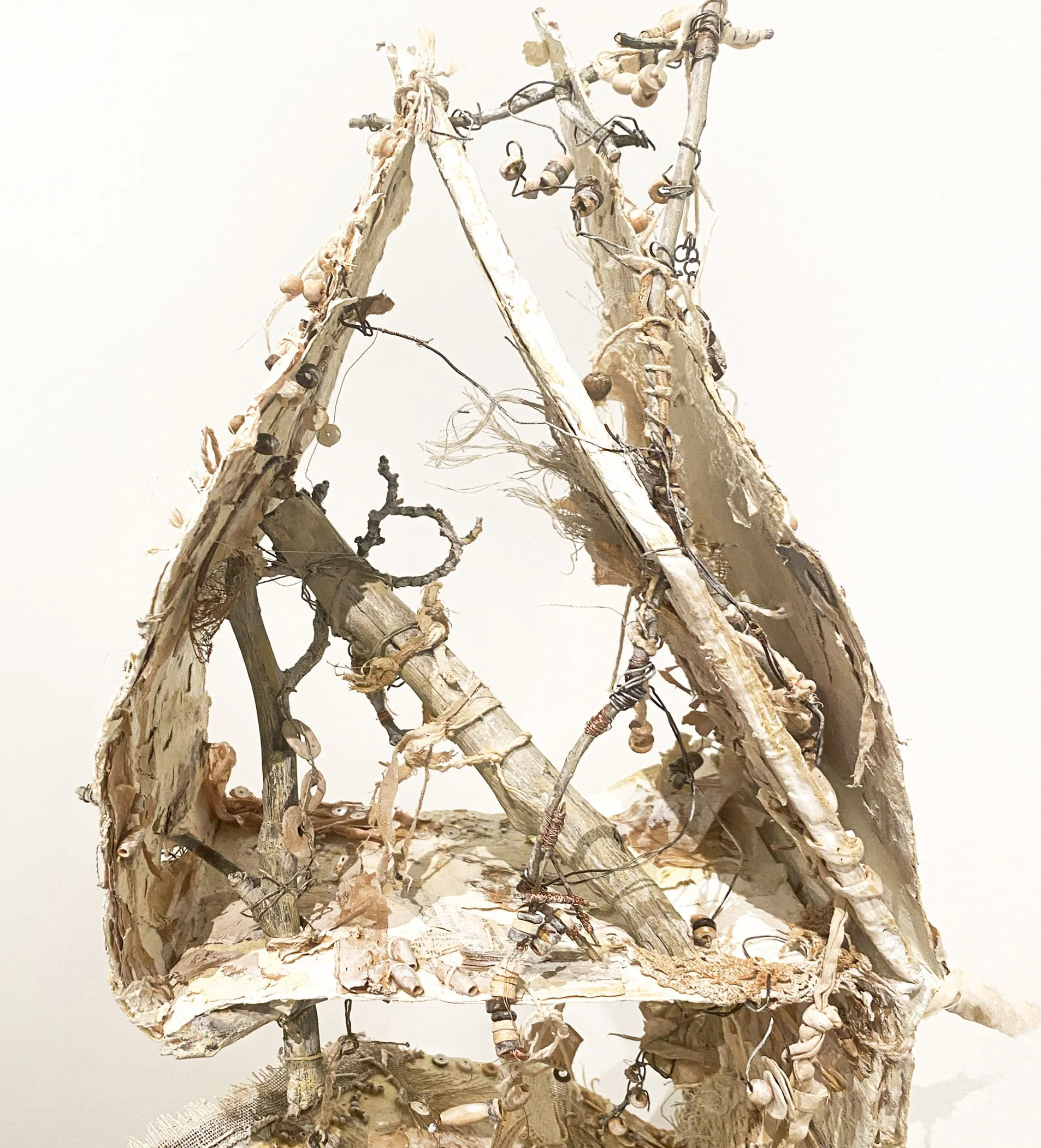 GALBRAITH:SWANN:CATRIONA:SUZANNE_PALE REMNANTS OF TOMORROW (DETAIL).jpg